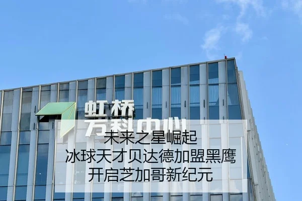未来之星崛起 冰球天才贝达德加盟黑鹰 开启芝加哥新纪元
